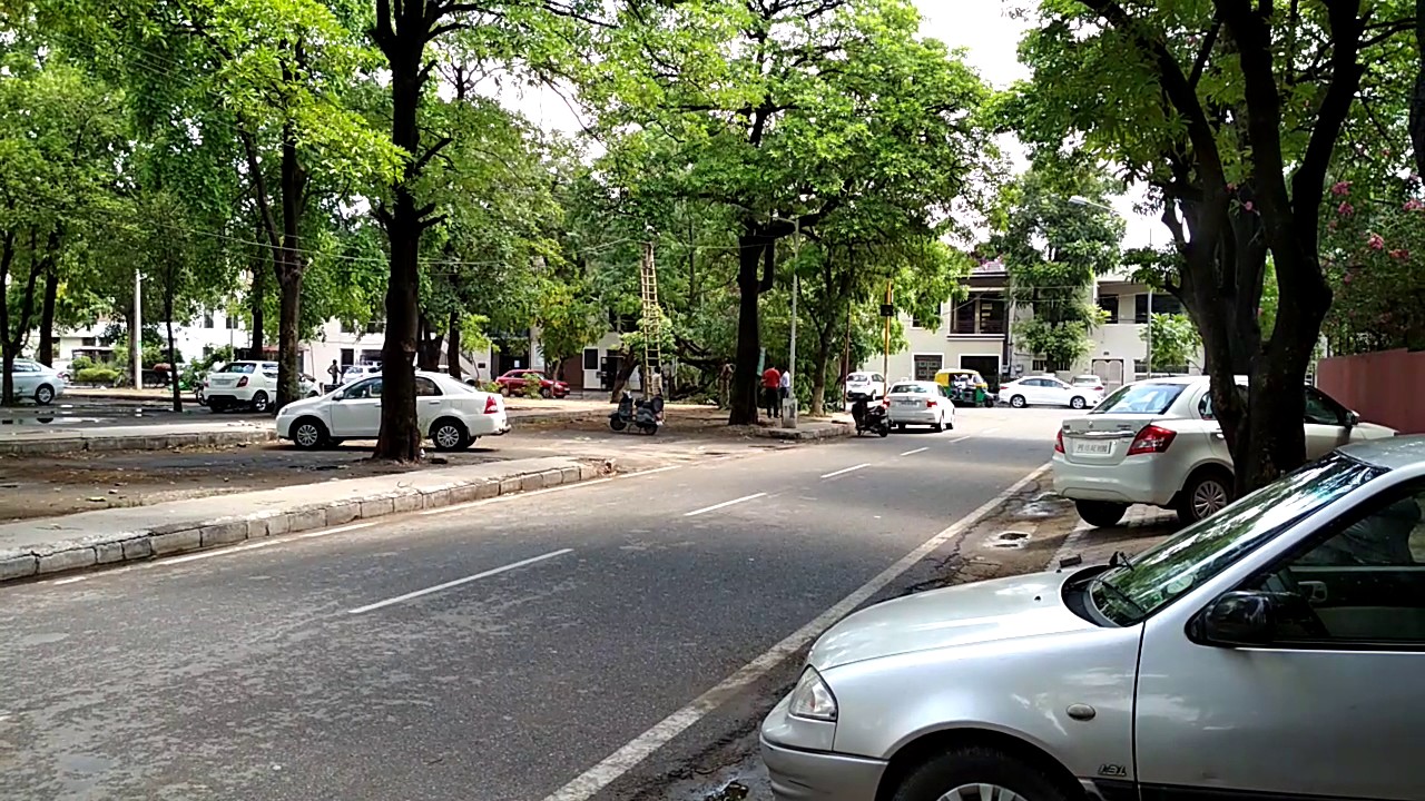 Xiaomi Redmi 4 camera sample