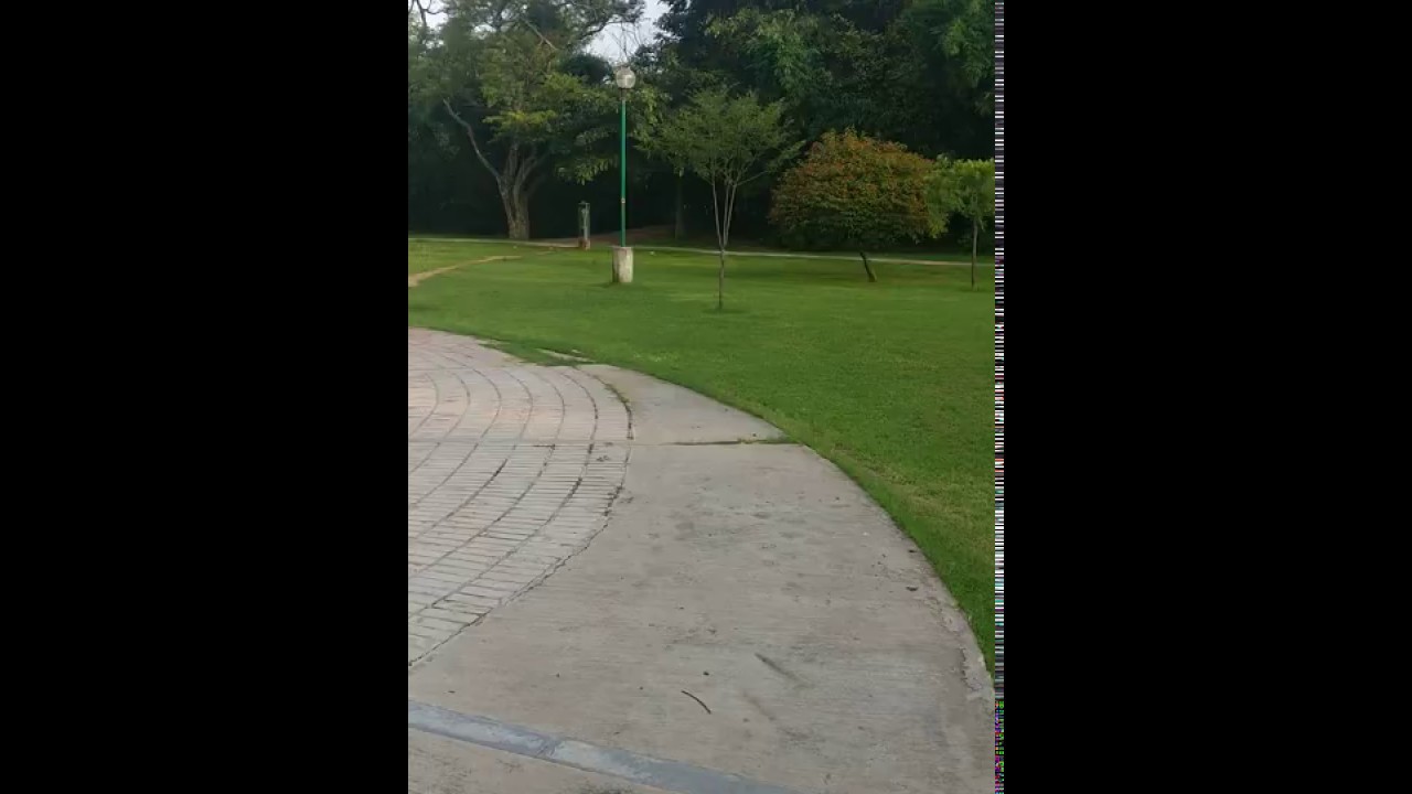 OnePlus 3T vs OnePlus 5 1080 P Video Review | GoAndroid