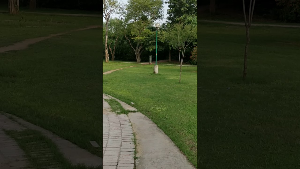 OP 5 Soft Gold - 1080p Video Review | GoAndroid