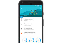 goals_google_calendar_fitness_data