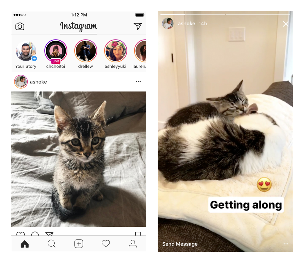 insta storieswatch insta storieswatch