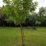 IMG_20170302_114914 (Large)