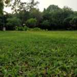 IMG_20170302_115230 (Large)