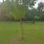 IMG_20170806_175400 (Large)