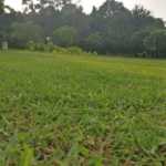 IMG_20170806_175725 (Large)