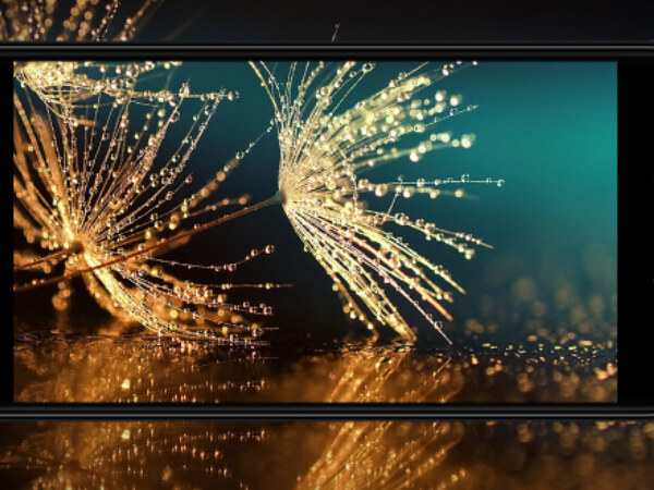 Micromax Selfie 2 (1)