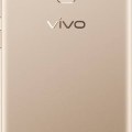 vivo V7+ gold back