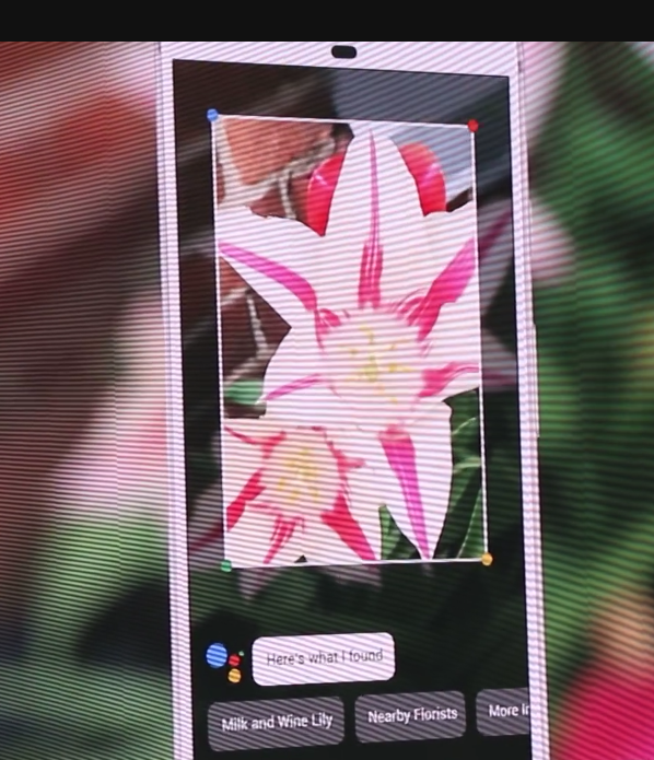 what is google lens and how it allows you to search on the go using your smartphone camera ?