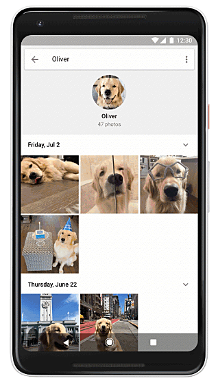 google photos will now recognize your pets better and group them