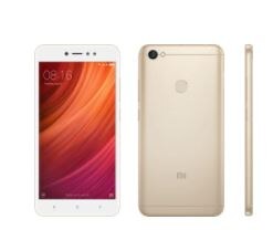 Redmi Y1 gold