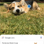 default camera app of sony xperia xz2s getting google lens integration