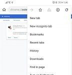 Install-Extension-from-store-Kiwi-Browser-4-144×300