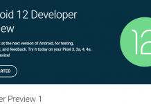 Android 12 developer preview