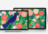 Galaxy Tab S7 and Galaxy Tab S7+