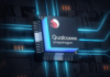 Snapdragon