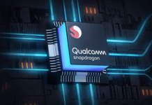 Snapdragon