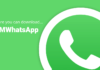 FMWhatsapp