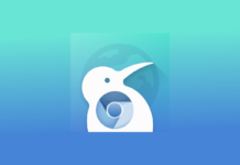 Kiwi Browser