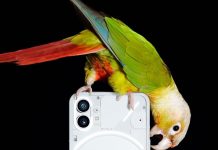 Nothing Phone (1)