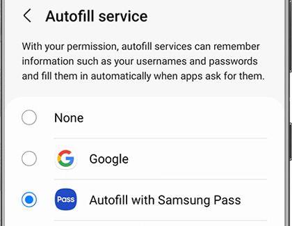 how to use google autofill on galaxy s22 series?