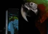Nothing Phone (1)