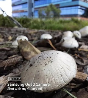samsung galaxy s22 series will get camera watermark feature with oneui 5.0