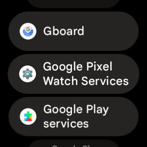 ‘google pixel watch services’ has made it to the play store