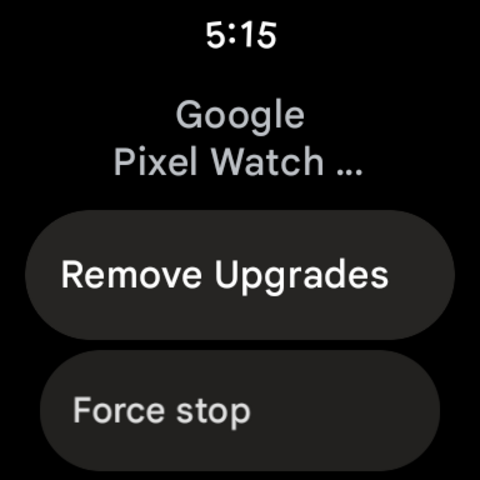 ‘google pixel watch services’ has made it to the play store