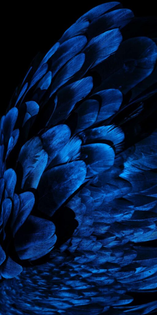 [update: added feather wallpapers] download official google pixel 7 wallpapers!