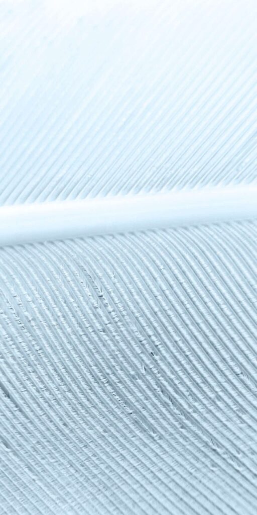 [update: added feather wallpapers] download official google pixel 7 wallpapers!