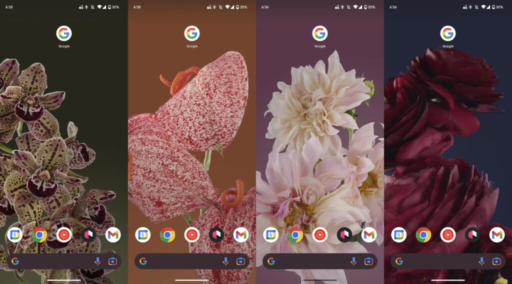 google rolls out pixel live bloom wallpapers [download]
