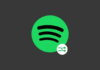 Spotify Smart Shuffle