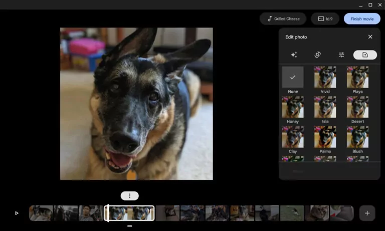 google photos new update brings movie editor - the go android